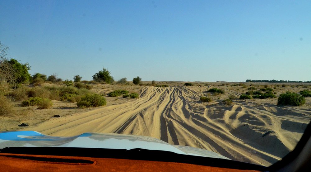 Desert at Oman border