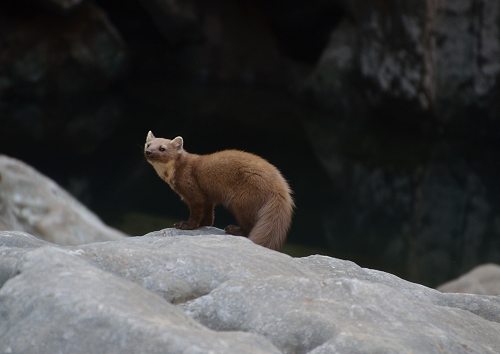 Sa Calobra, Mallorca: Torrentes de Pareis