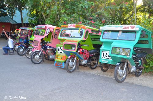 Tricycles an der Beefarm auf Panglao