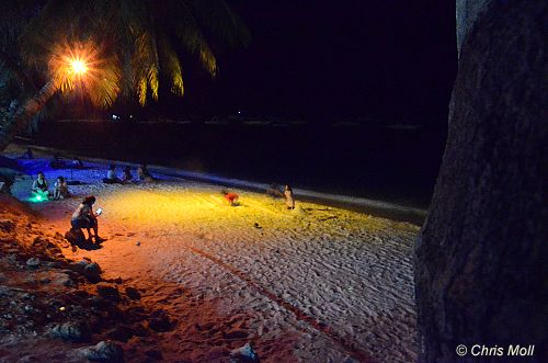 Alona Beach, Panglao, Bohol, Philippines