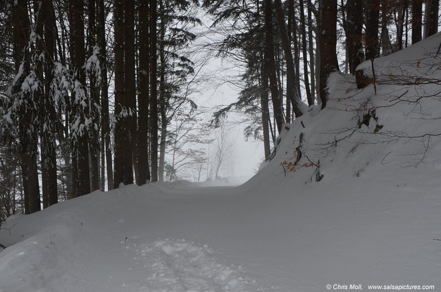 Winter in Tirol: Schnee