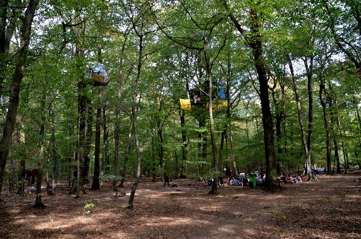 Fr immer verloren: der ber 1000 Jahre alte Hambacher Forst