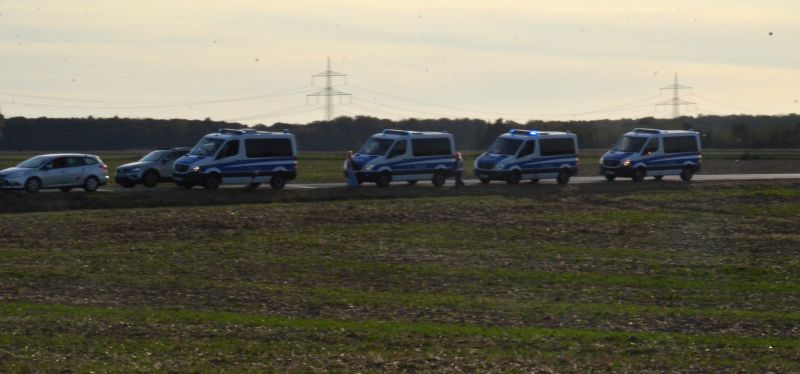 Fr immer verloren: der ber 1000 Jahre alte Hambacher Forst