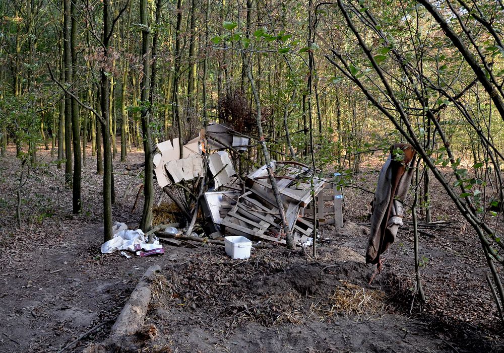 Fr immer verloren: der ber 1000 Jahre alte Hambacher Forst