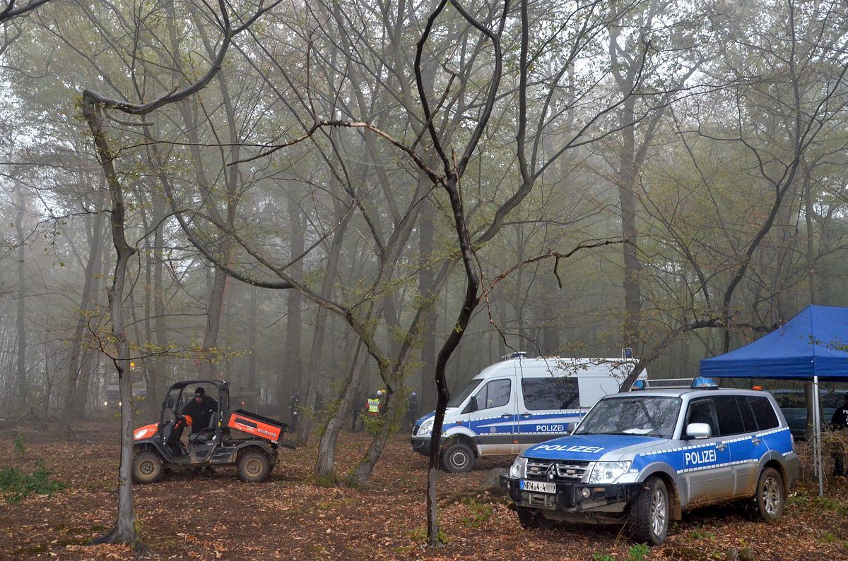 Hambacher Forst