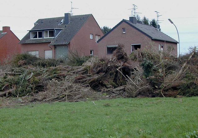 die verwsteten Grten und die Huser der Brger vor dem Abriss