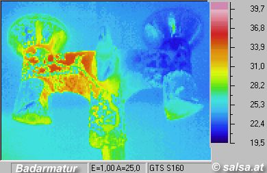 Infrarouge picture / thermographic / thermal picture