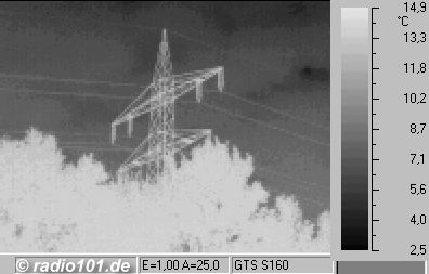 ligne electique et arbres (thermographic / thermal picture)