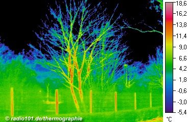 image thermographique / l'image de chaleur