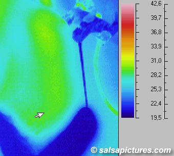 Infrarotaufnahme / Wärmebild / Thermografie